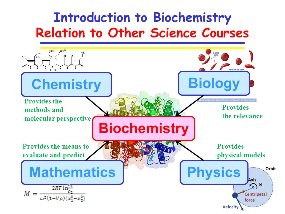 Biochemistry Career Scope in Pakistan