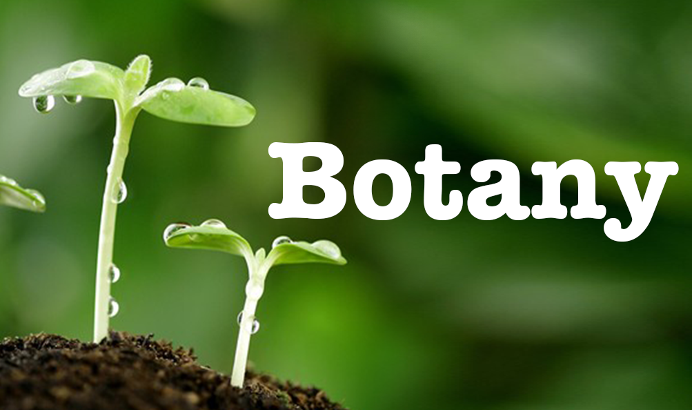 Botany Career Scope in Pakistan Opportunities Requirements Jobs Salary