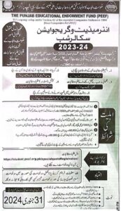PEEF Scholarships 2024 for Inter/Graduation Students Apply Online 