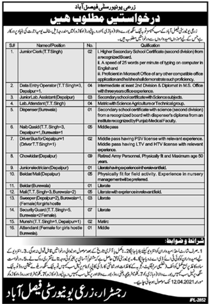 University of Faisalabad jobs 2021 Application Form Download