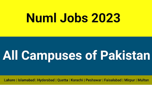 Islamabad Numal University Jobs 2024 Application Form Download
