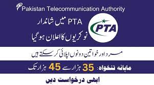 PTA Pakistan Telecommunication Authority Jobs 2024 Application Form Download