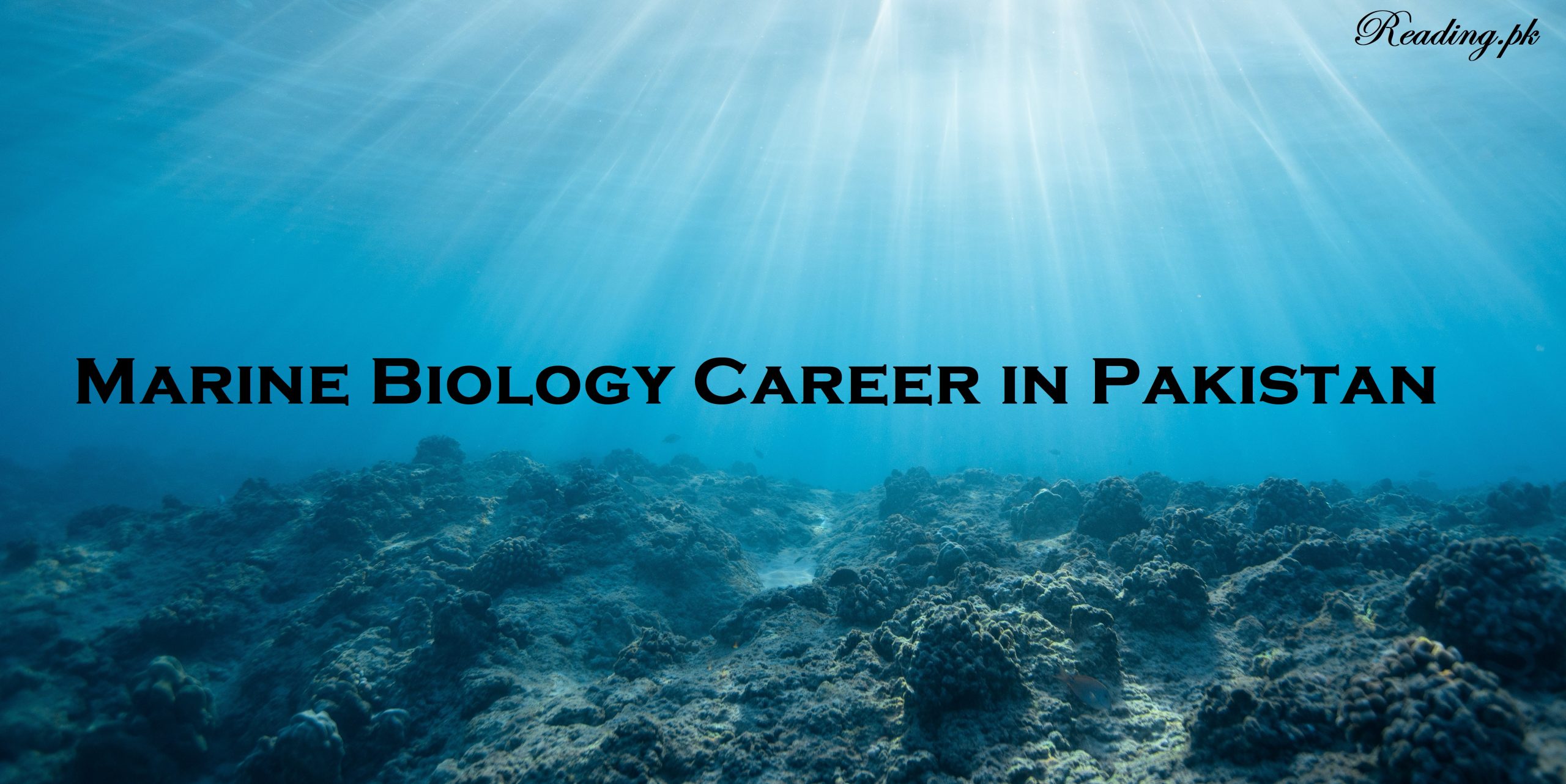 Marine Biology Career in Pakistan Scope, Courses and Jobs